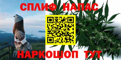 каннабис Нальчик