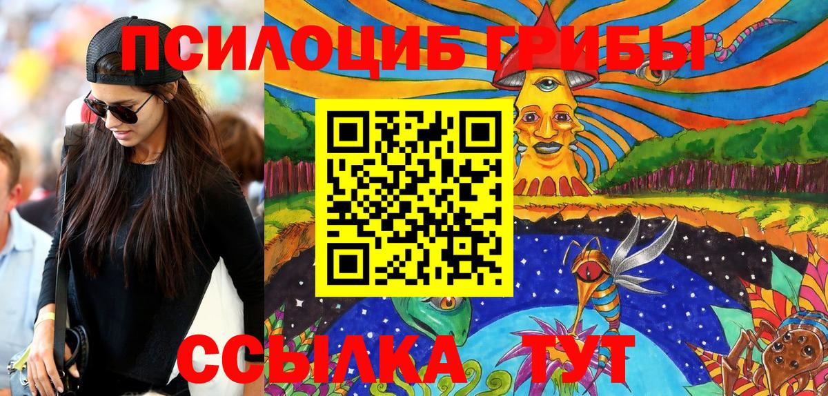Артёмовский  Галлюциногенные грибы Cubensis  Вход с VPN 